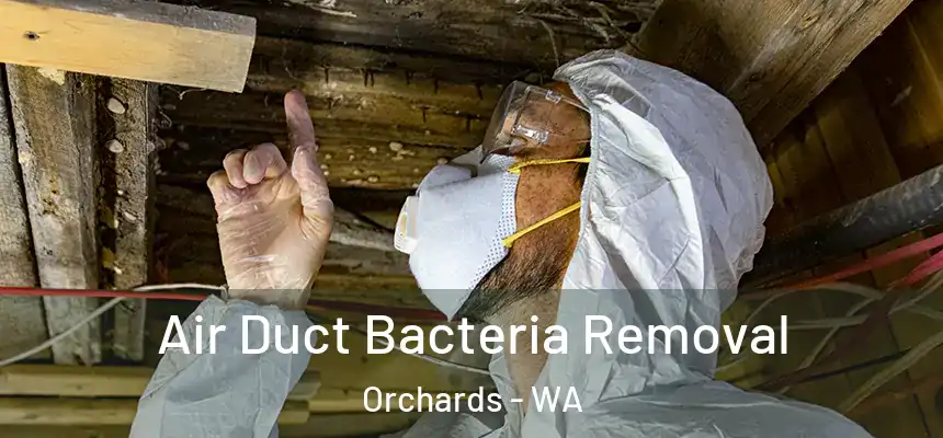 Air Duct Bacteria Removal Orchards - WA