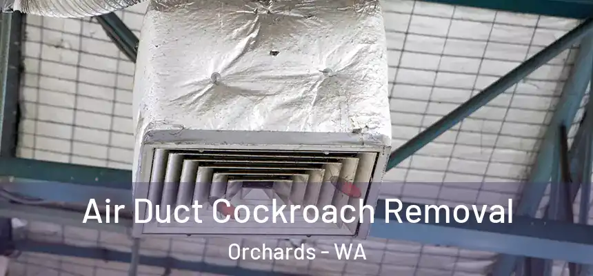  Air Duct Cockroach Removal Orchards - WA