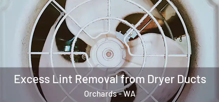 Excess Lint Removal from Dryer Ducts Orchards - WA