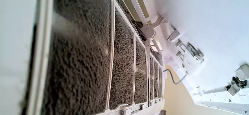 Preventive Air Duct Bacteria Removal in Orchards