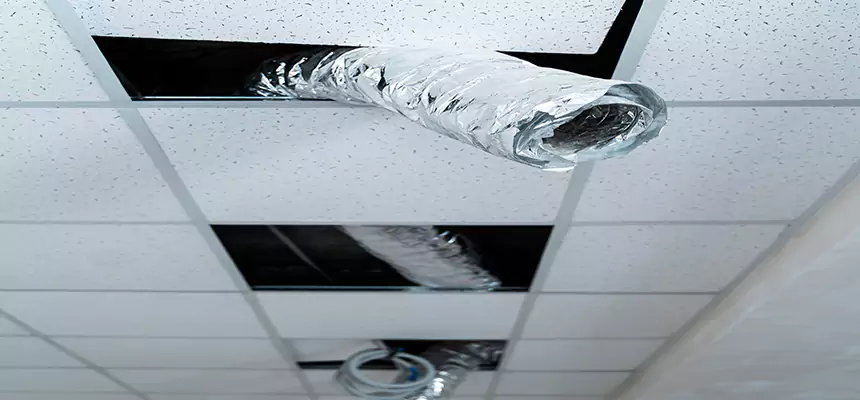 Our Air Duct Pet Hair Removal Services in Orchards, WA