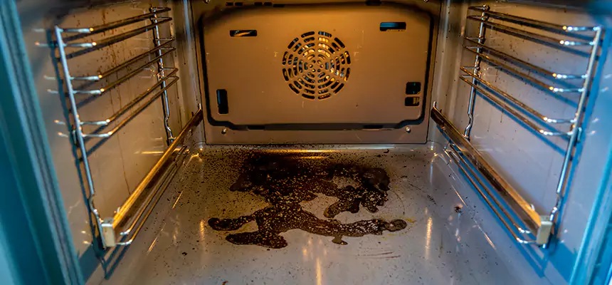 Our Dryer Vent Mold Cleaning Services in Orchards, WA