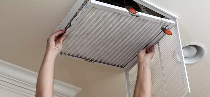 Our Insect Removal from Air Ducts Services in Orchards, WA
