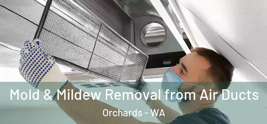  Mold & Mildew Removal from Air Ducts Orchards - WA