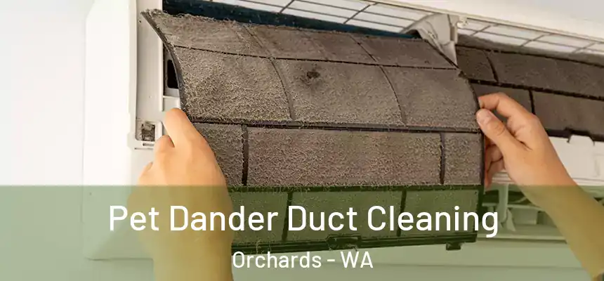  Pet Dander Duct Cleaning Orchards - WA