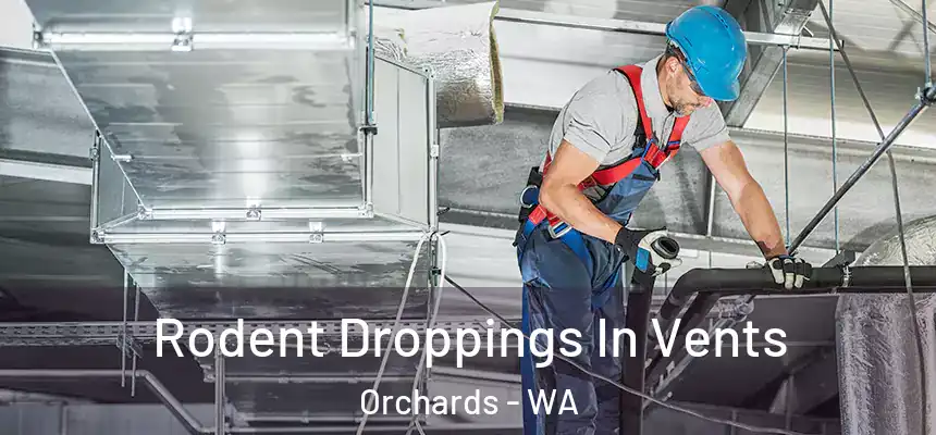  Rodent Droppings In Vents Orchards - WA