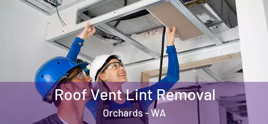 Roof Vent Lint Removal Orchards - WA