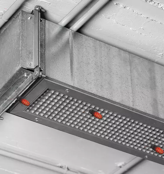 About Air Duct Cockroach Removal in Orchards, WA
