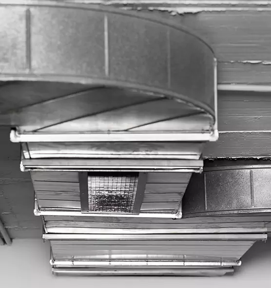 Professional Air Duct Pest Removal in Orchards, WA