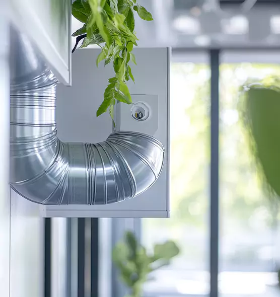 Professional Eco-Friendly Duct Cleaning Services in Orchards, WA