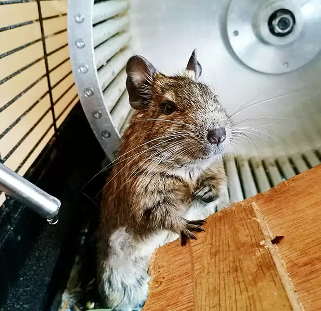 Why Homeowners & Businesses Trust Us Orchards, WA?