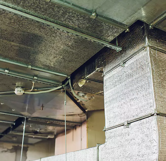 Why Homeowners & Businesses Trust Us in Orchards, WA?